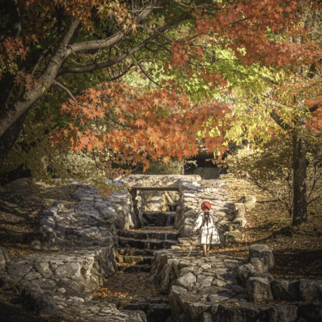 2f8324213c43d2bf75f64bef2488ac