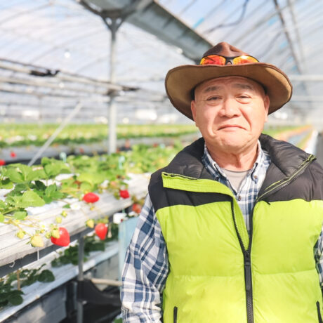 親子で楽しめる2段式いちご狩り！福津市勝浦の人気スポット「谷口観光